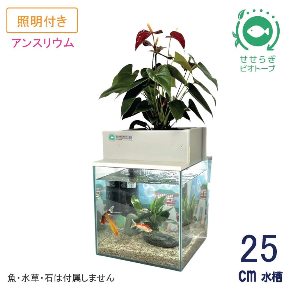 西条庭園　せせらぎビオトープ25cm型 照明付き Amazon | せせらぎビオトープ 水替え不要【水槽セット】 25cm型 【基本